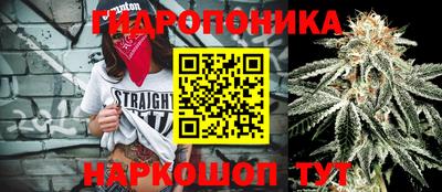 гашик Балаково