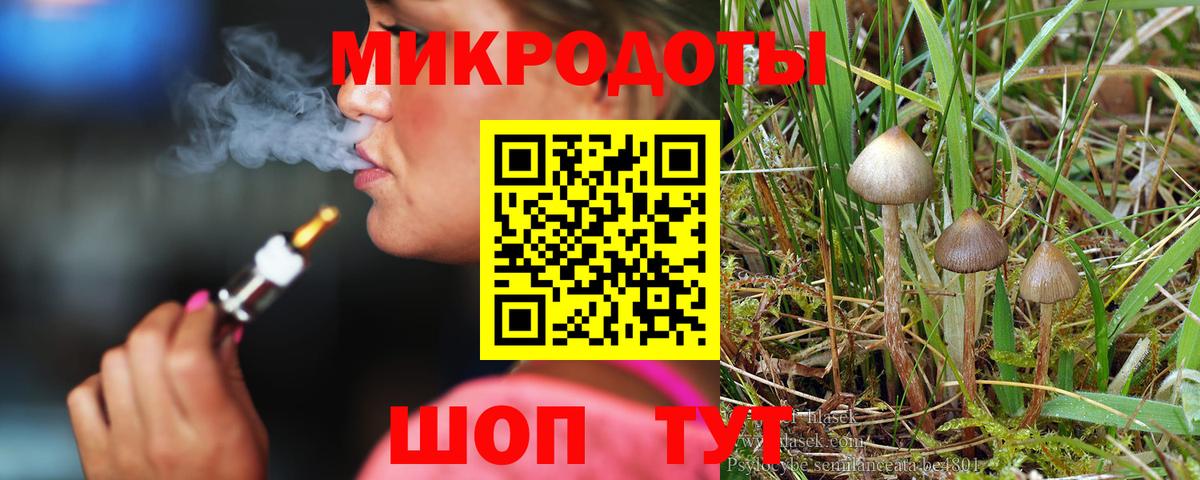 Псилоцибиновые грибы GOLDEN TEACHER Зима